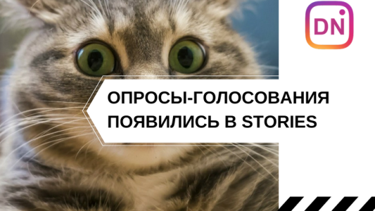 голосования в историях