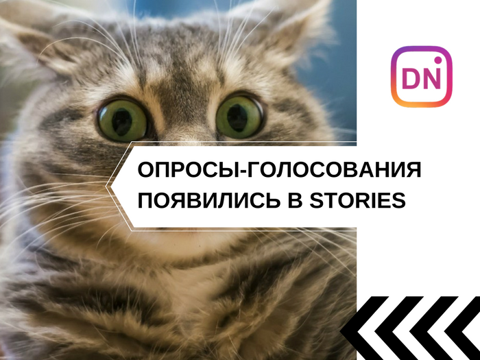 В Stories появились голосования и ещё 2 новые фичи