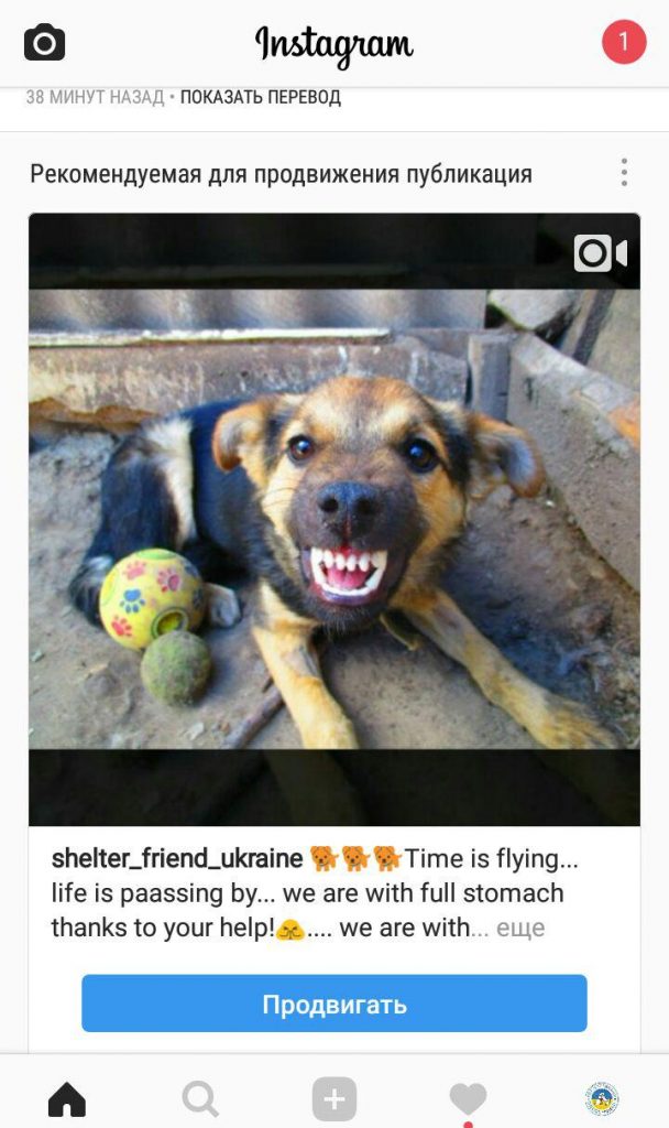 предложение продвигать пост