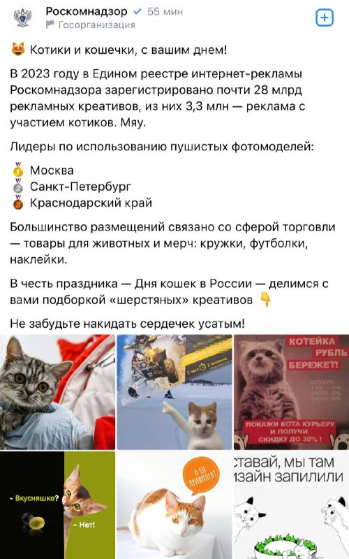 Пост от РКН про котиков. Но совсем не про котиков. Вопрос: почему он про котиков…