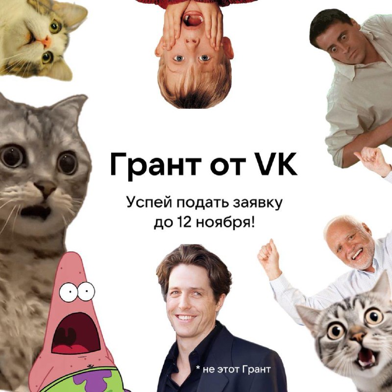 ВК продлили на неделю приём заявок на гранты. Теперь дедлайн 12 ноября. Немного …