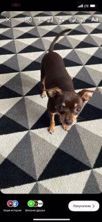 Новая непостоянная рубрика — Лайфхаки от Ткачука…