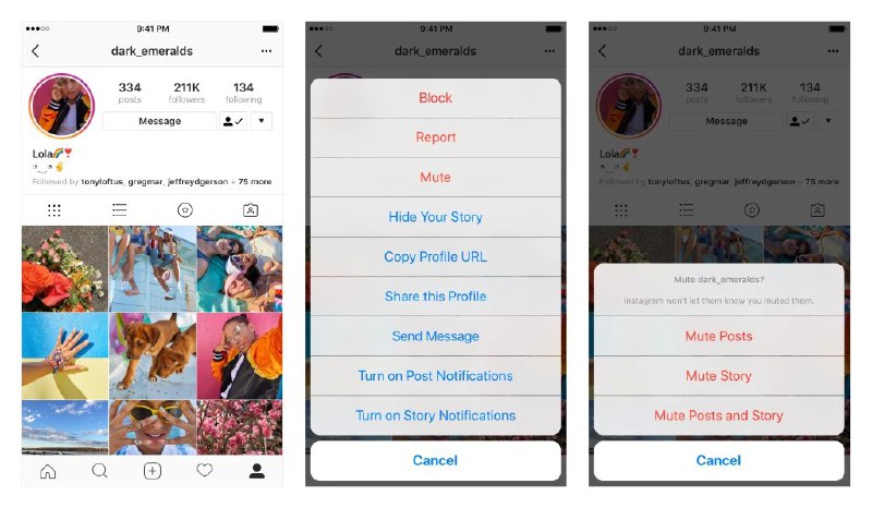 Юху. Instagram анонсировал кнопку «mute». Можно отключить новые посты/Stories не…