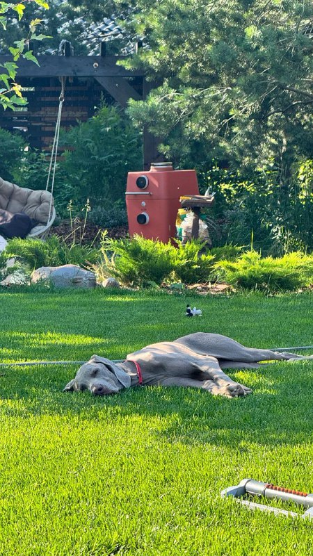 Итоги, часть 2: Семья и личное Наша семья впервые встретила этот год в обновлённ…