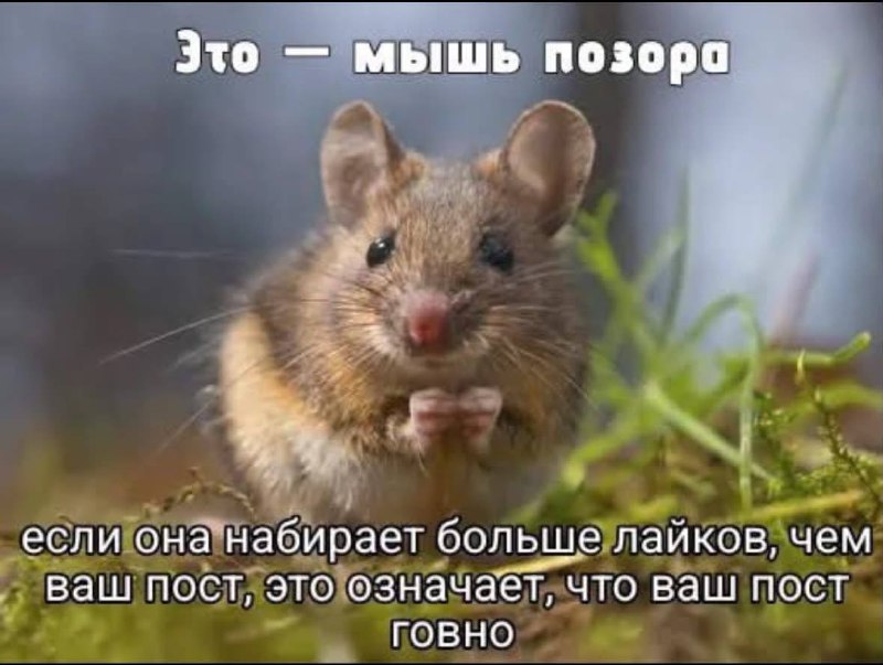 *
